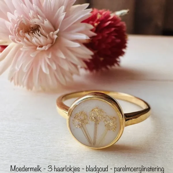 Ceres ring