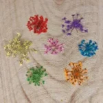 Gedroogde bloemetjes