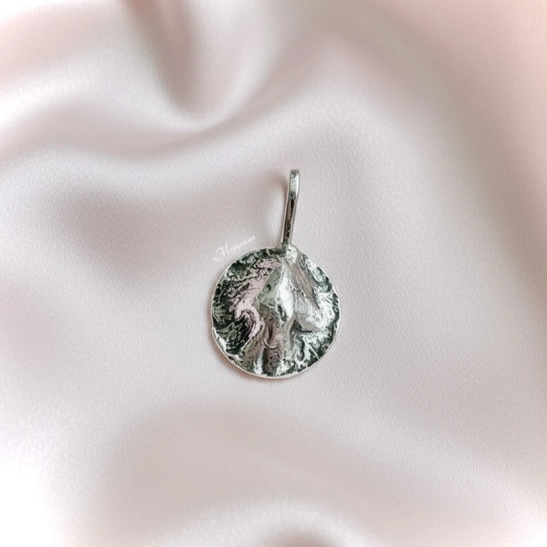 Katten neusafdruk (rond met oxidatie)