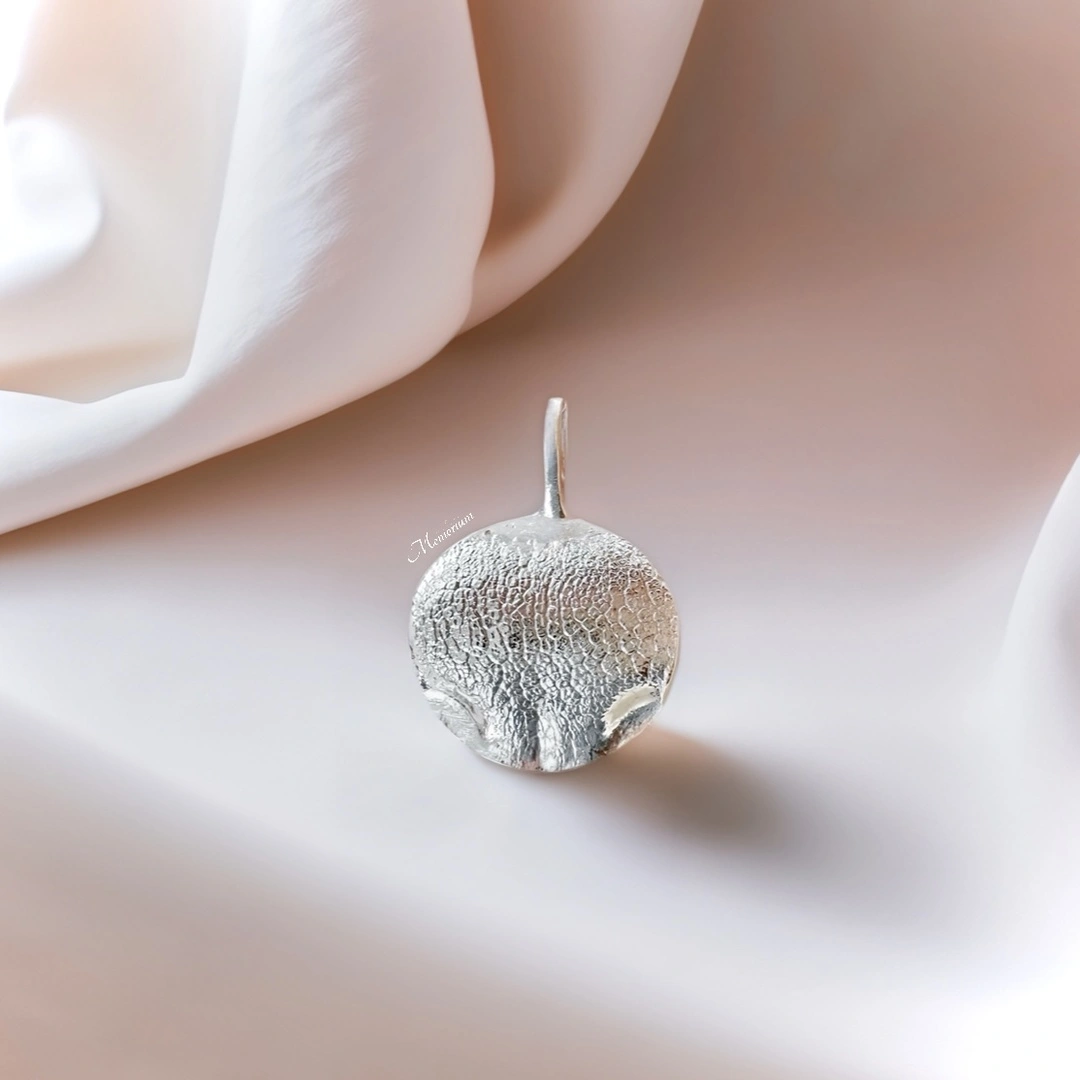 Hondenneus in massief zilveren halsketting