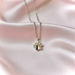 Milo dierenpoot ketting